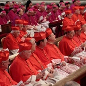 Jak będzie pracował Synod?