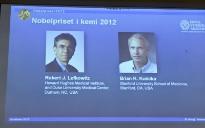Nobel z chemii z polskimi akcentami