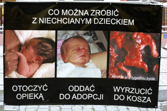 Komu służą posłowie?