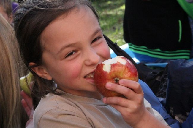 Piesza pielgrzymka do Trzebnicy