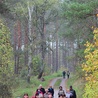  Trasa łosiery widzie przez lasy położone między Pluskami a Orzechowem