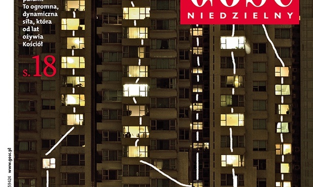 GN: Nie ma róży bez ognia 