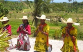 Muzycy z Madagaskaru - Teny Tonga Nofo