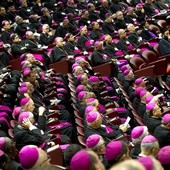 Synod Biskupów: pierwsze wnioski