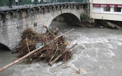 Benedykt XVI o powodzi w Lourdes