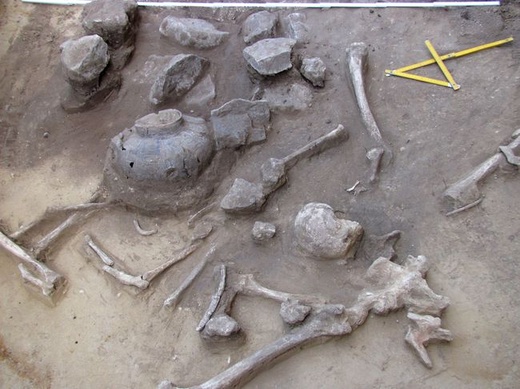 Nowe odkrycia archeologów w Złotej 
