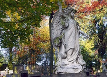 Anioł spogląda z wysoka na tych, którzy przychodzą odwiedzać groby