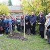 Łowicz, 23 października. Dąb już rośnie w skansenie