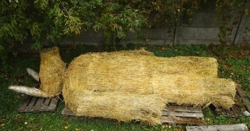 Oto Miś na miarę potrzeb społeczeństwa