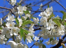 Notatki z „przedsionków”nieba