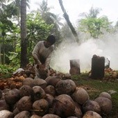 Kokosy kokosów nie przynoszą