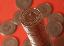 Budżet domowy w czasach kryzysu