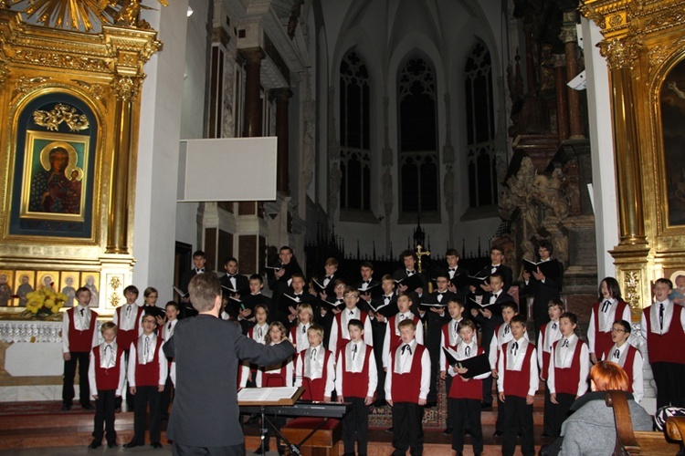 „Pueri Cantores Tarnovienses” w hołdzie poległym