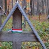 Brak tytułu
