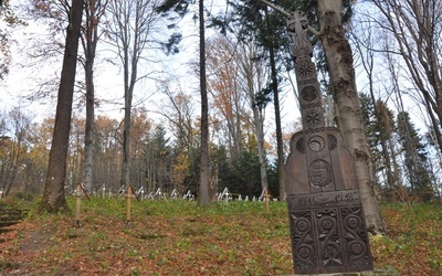 Brak tytułu