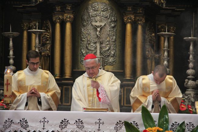 Obtuniczyny i jubileusz kardynała w Henrykowie