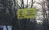 VI Wyścigi Psich Zaprzęgów Wataha Cup