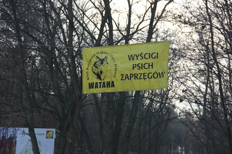 VI Wyścigi Psich Zaprzęgów Wataha Cup