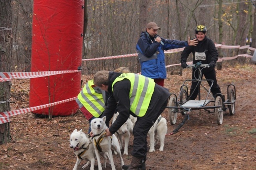 VI Wyścigi Psich Zaprzęgów Wataha Cup