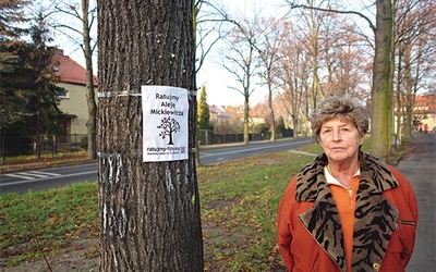   – Całe piękno tego miejsca tworzą nie domy, ale drzewa. Domy można wybudować, a takie drzewa rosną sto lat – mówi Teresa Zaborowska, która mieszka tu od 1945 r.