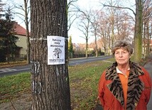   – Całe piękno tego miejsca tworzą nie domy, ale drzewa. Domy można wybudować, a takie drzewa rosną sto lat – mówi Teresa Zaborowska, która mieszka tu od 1945 r.