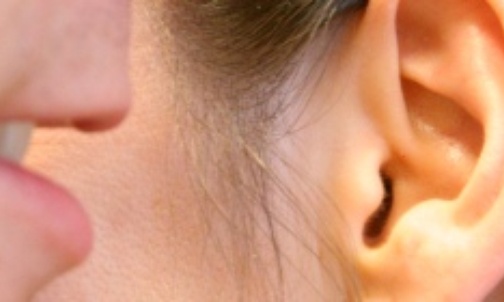 Słucham - ufam - miłuję