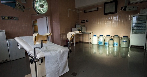  Laboratorium Wspomaganego Rozrodu. Na sali zabiegowej pod ścianą stoją dewary z ciekłym azotem. W jednych zamrożone plemniki i komórki jajowe, w drugich zawieszone w czasoprzestrzeni ludzkie istoty. Tędy co chwila ktoś przechodzi.  Jakby nigdy nic...