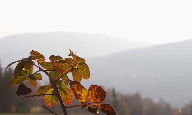 Miejsca uprzywilejowane