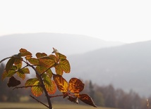 Miejsca uprzywilejowane