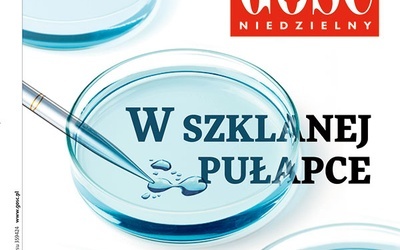 GN: W szklanej pułapce