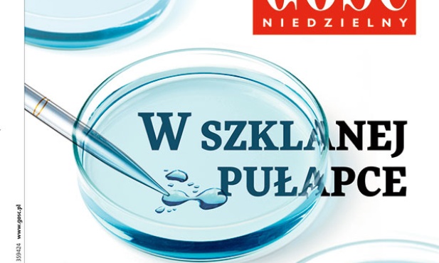GN: W szklanej pułapce