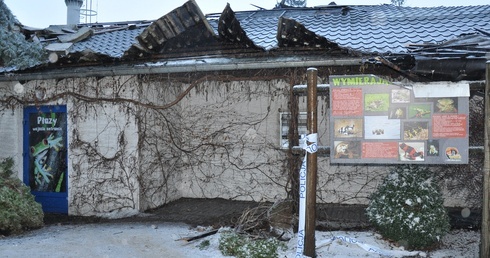 Duże straty w opolskim zoo