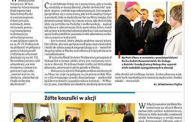 Płocki 50/2012