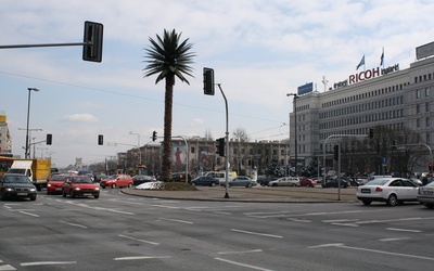 Urodziny palmy przy rondzie de Gaulle'a