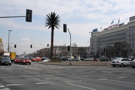 Urodziny palmy przy rondzie de Gaulle'a