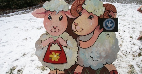 Zakręceni wokół stajenki