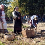 30 września. Radomskie Muzeum Wsi Radomskiej zaprosiło na Święto Ziemniaka. To jeden z wielu obchodów popularyzujących radomski folklor