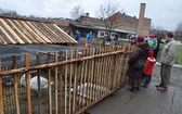 Żywa szopka u franciszkanów w Tarnowie