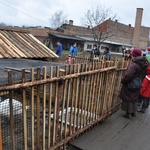 Żywa szopka u franciszkanów w Tarnowie