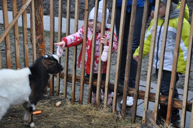 Żywa szopka u franciszkanów w Tarnowie