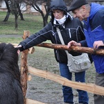 Żywa szopka u franciszkanów w Tarnowie