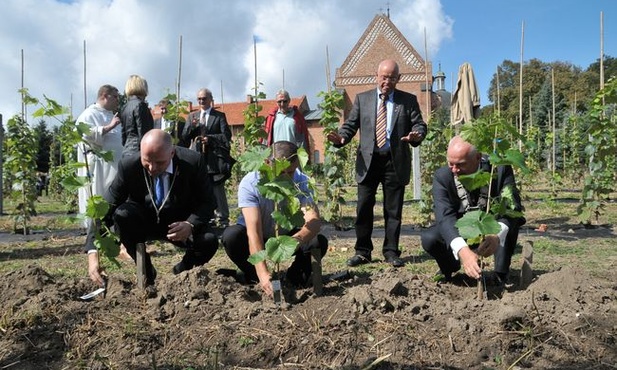 Winnica u dominikanów symbolem dwóch dekad współpracy 