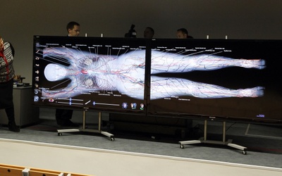 Wirtualny stół do nauki anatomii