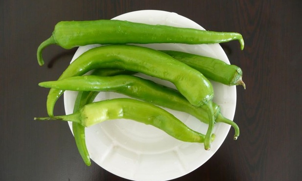 Rząd zakazał upraw GMO