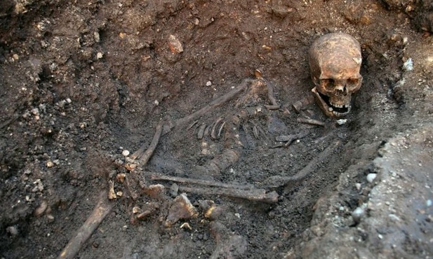 Królewski szkielet na parkingu