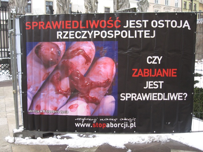 Wystawa antyaborcyjna "Wybierz życie" w Krakowie