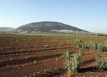 Każdy ma swój Tabor... Wideokomentarz