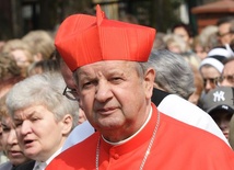 Kardynał Stanisław Dziwisz