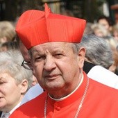 Kardynał Stanisław Dziwisz