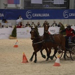 Cavaliada
